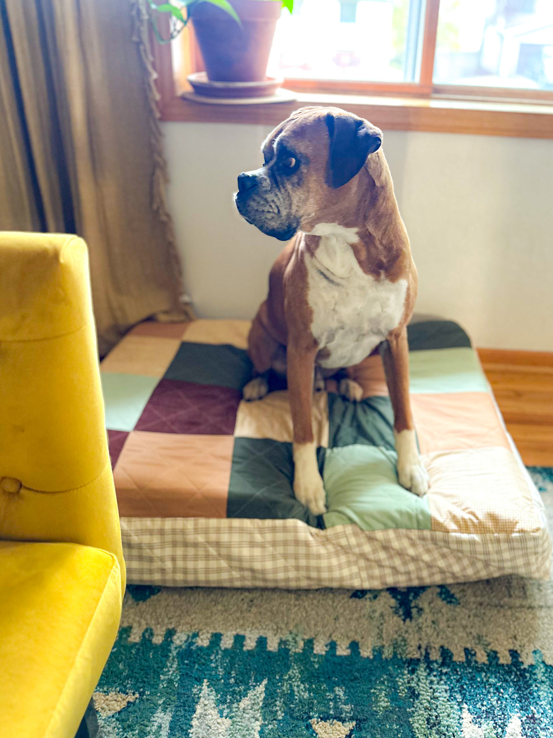 DIY quilted dog bed tutorial